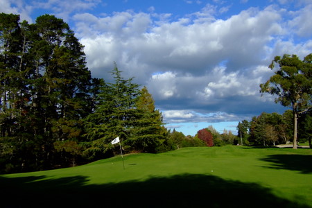 �j���[�W�[�����h�̃S���t��