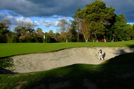 �j���[�W�[�����h�̃S���t��