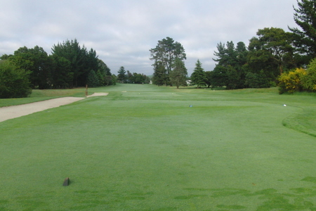 �j���[�W�[�����h�̃S���t��