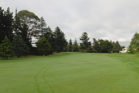 �j���[�W�[�����h�̃S���t��