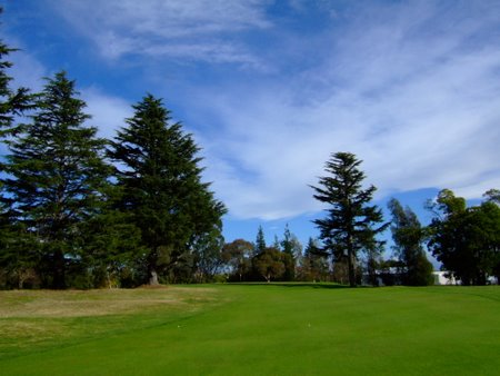 �j���[�W�[�����h�̃S���t��