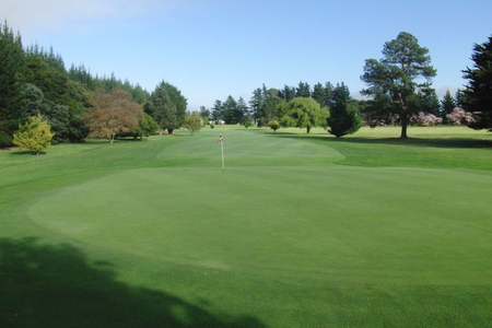 �j���[�W�[�����h�̃S���t��