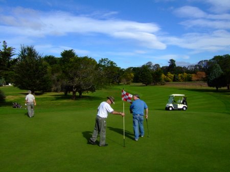 �j���[�W�[�����h�̃S���t��