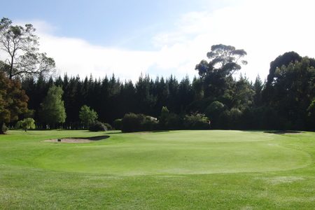 �j���[�W�[�����h�̃S���t��