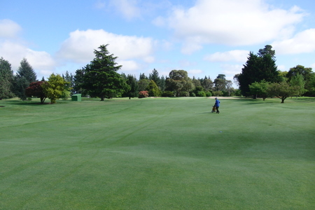 �j���[�W�[�����h�̃S���t��