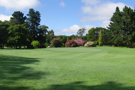 �j���[�W�[�����h�̃S���t��