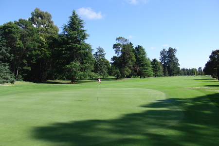 �j���[�W�[�����h�̃S���t��