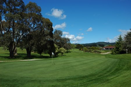 �j���[�W�[�����h�̃S���t��