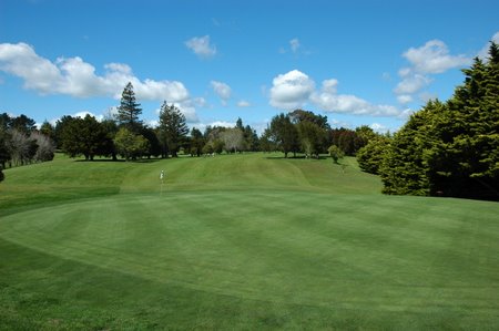 �j���[�W�[�����h�̃S���t��