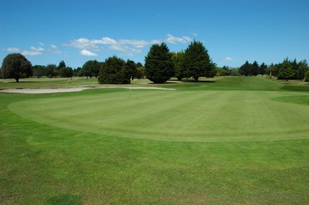 �j���[�W�[�����h�̃S���t��