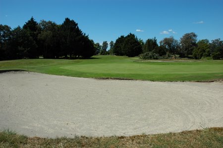 �j���[�W�[�����h�̃S���t��