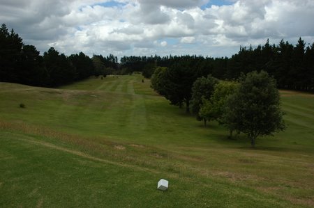 �j���[�W�[�����h�̃S���t��