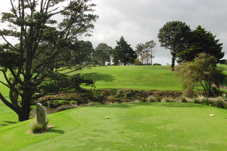 �j���[�W�[�����h�̃S���t�� �n�E�B�b�N