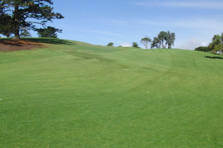 �j���[�W�[�����h�̃S���t�� �n�E�B�b�N