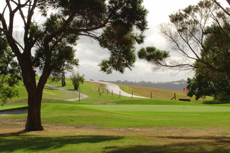 �j���[�W�[�����h�̃S���t�� �n�E�B�b�N