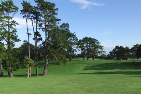 �j���[�W�[�����h�̃S���t�� �n�E�B�b�N