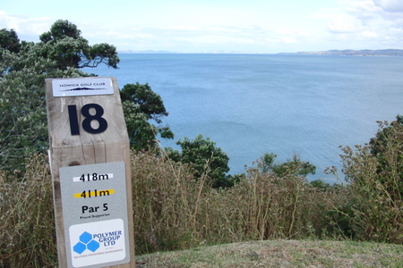 �j���[�W�[�����h�̃S���t�� �n�E�B�b�N