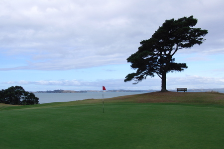 �j���[�W�[�����h�̃S���t�� �n�E�B�b�N