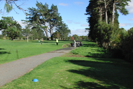 �j���[�W�[�����h�̃S���t��