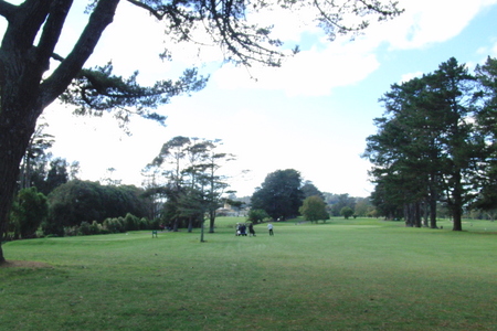 �j���[�W�[�����h�̃S���t��