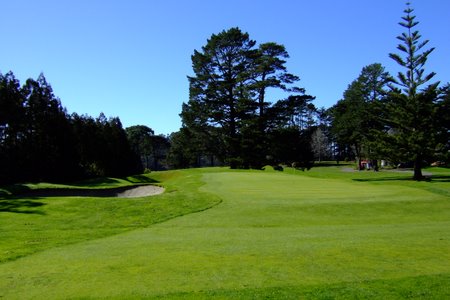 �j���[�W�[�����h�̃S���t��