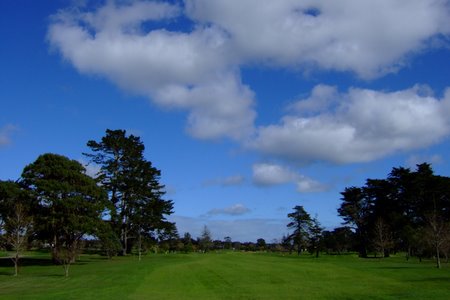 �j���[�W�[�����h�̃S���t��