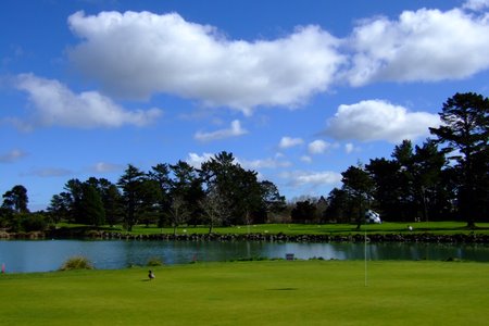 �j���[�W�[�����h�̃S���t��