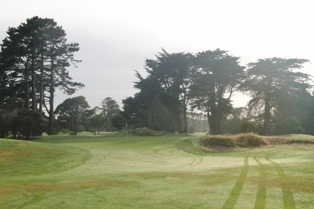 �j���[�W�[�����h�̃S���t��