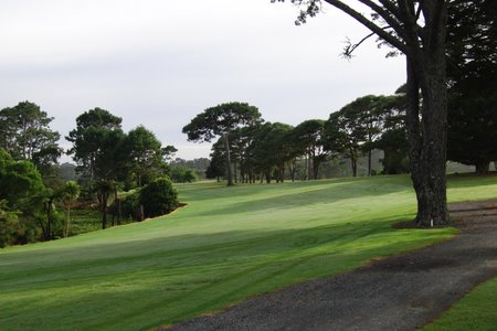 �j���[�W�[�����h�̃S���t��