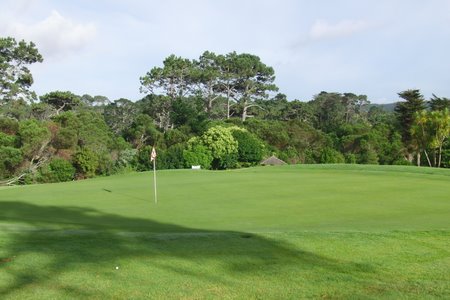 �j���[�W�[�����h�̃S���t��