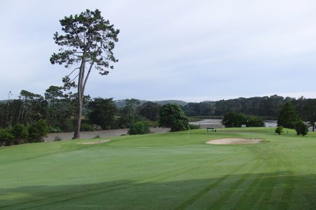 �j���[�W�[�����h�̃S���t��