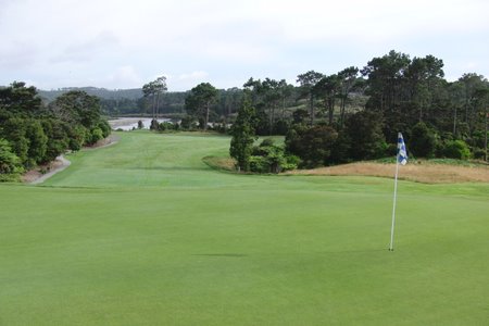 �j���[�W�[�����h�̃S���t��