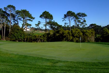 �j���[�W�[�����h�̃S���t��