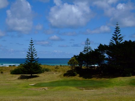 �j���[�W�[�����h�̃S���t��