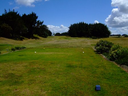 �j���[�W�[�����h�̃S���t��