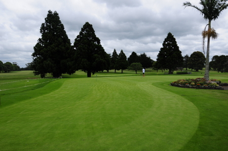 �j���[�W�[�����h�̃S���t��