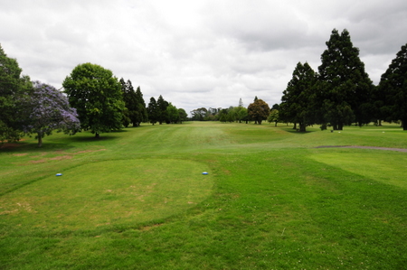 �j���[�W�[�����h�̃S���t��