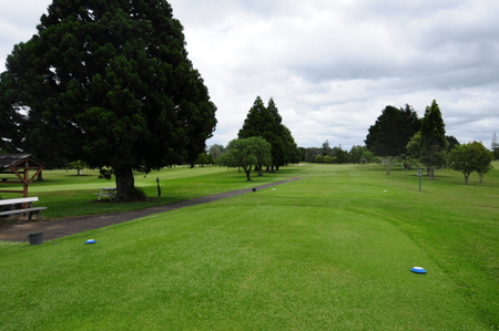 �j���[�W�[�����h�̃S���t��