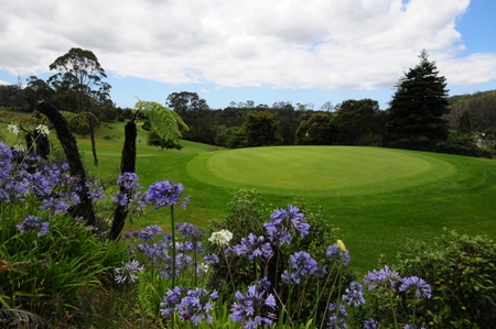 �j���[�W�[�����h�̃S���t��