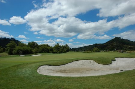 �j���[�W�[�����h�̃S���t��