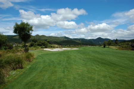 �j���[�W�[�����h�̃S���t��