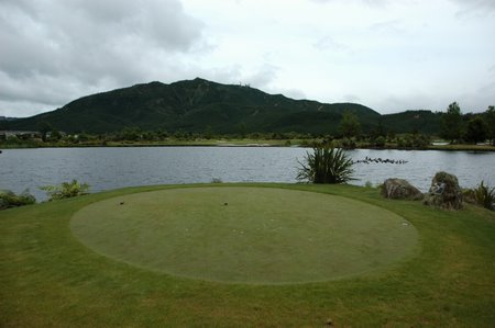 �j���[�W�[�����h�̃S���t��