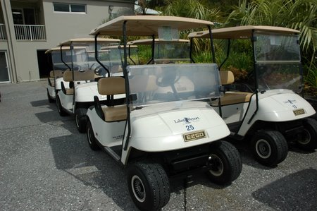 �j���[�W�[�����h�̃S���t��