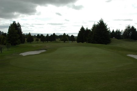 �j���[�W�[�����h�̃S���t��