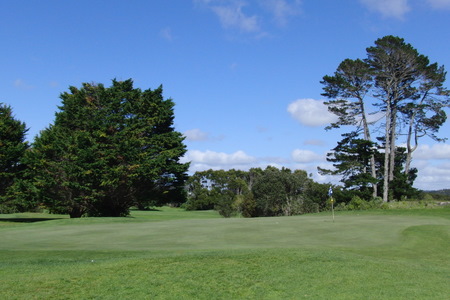 �j���[�W�[�����h�̃S���t�� �}���K���C