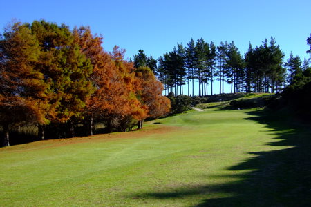 �j���[�W�[�����h�̃S���t�� �}���K���C