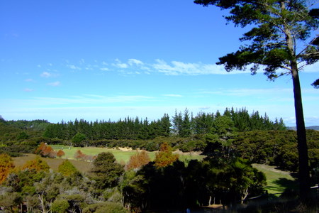 �j���[�W�[�����h�̃S���t�� �}���K���C