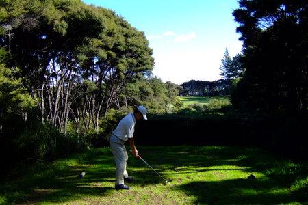 �j���[�W�[�����h�̃S���t�� �}���K���C