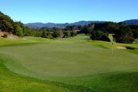 �j���[�W�[�����h�̃S���t�� �}���K���C