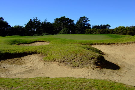 �j���[�W�[�����h�̃S���t�� �}���K���C